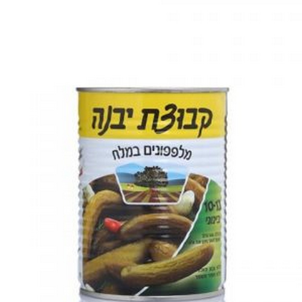 40-19-300x450 מלפפון במלח יבנה 10-12 בינוני 320 גר' – תמונה 1