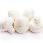 קופסת פטריות