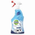 דיטול ספריי מסיר עובש