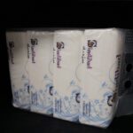 קלינקס סנדיבאד 4 יחי